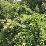 Le Clos Du Presbytere Ferienhaus *