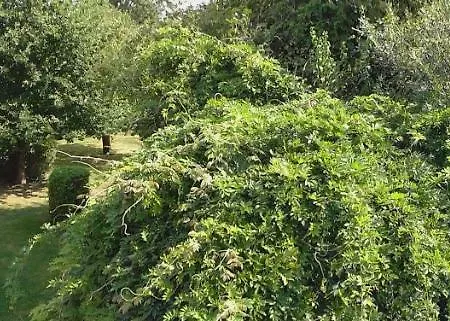 Le Clos du Presbytère Casa vacanze *