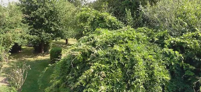 Le Clos Du Presbytere Dom wakacyjny *